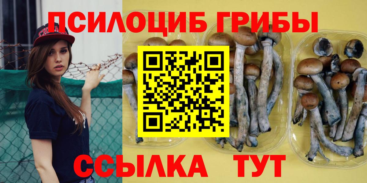 цены наркотик  Вход с VPN  Серов  Псилоцибиновые грибы мицелий 