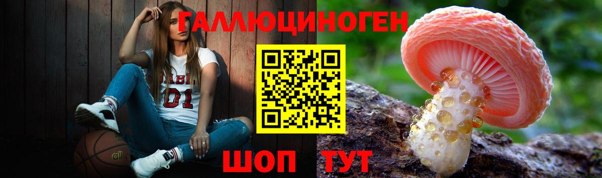 Псилоцибиновые грибы Psilocybe Серов